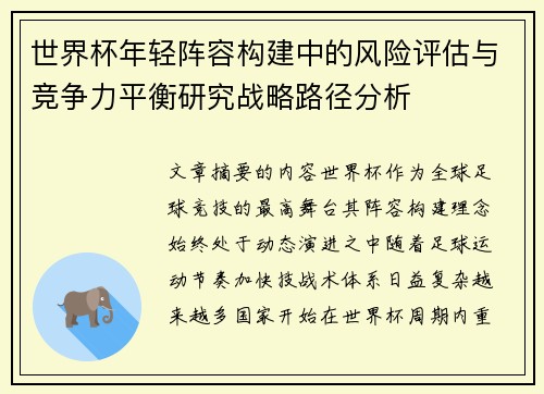 世界杯年轻阵容构建中的风险评估与竞争力平衡研究战略路径分析